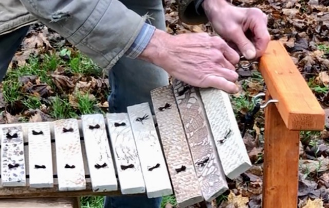 instrument de musique décoration jardin espace vert